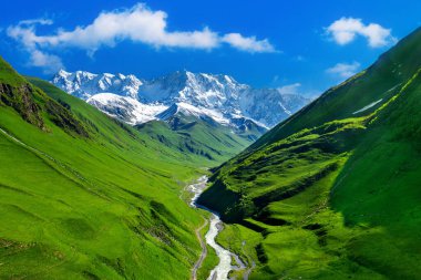 Green pasture and Patara enguri river against highest georgian mountain Shkhara near Ushguli in Georgia.