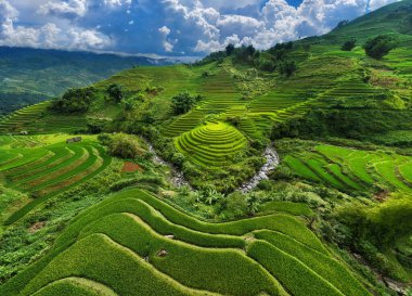 Mu Cang Chai, Vietnam 'da pirinç teraslarının havadan görünümü.