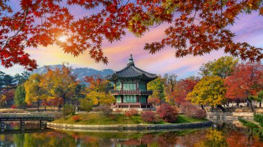 Gyeongbokgung Sarayı Sonbaharda, Seul, Güney Kore.