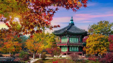 Gün batımında Gyeongbokgung Sarayı, Seul, Güney Kore 'de sonbahar mevsimleri.