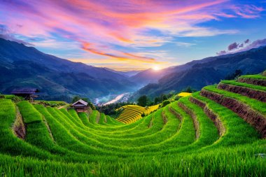 Mu cang chai, Vietnam 'da gün batımında güzel pirinç terasları..