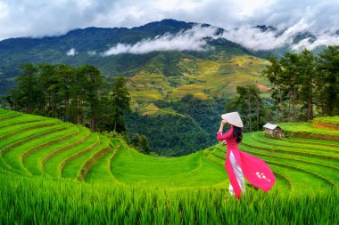 Vietnam kültürü giyen Asyalı kadın geleneksel pirinç tarlasında Mu Cang chai, Vietnam 'da..