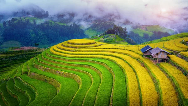 Schöne Reisterrassen Aussichtspunkt Mam Xoi Cang Chai Vietnam — Stockfoto