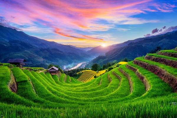 Schöne Reisterrassen Bei Sonnenuntergang Cang Chai Vietnam — Stockfoto
