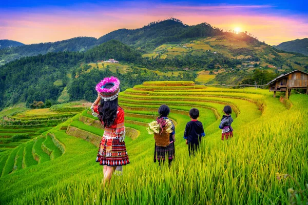 Этническое Меньшинство Хмонгов Стоящее Рисовых Террасах Кан Чай Йен Бай — стоковое фото
