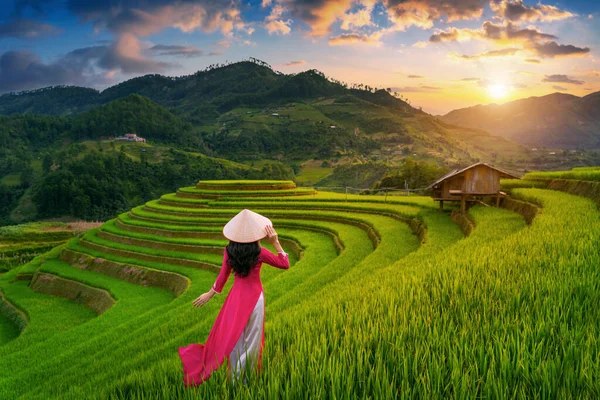 Азиатка Традиционной Вьетнама Культуре Террасе Рисом Cang Chai Вьетнам — стоковое фото