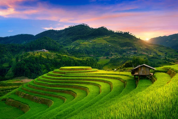 Hermosas Terrazas Arroz Mirador Mam Xoi Cang Chai Vietnam —  Fotos de Stock