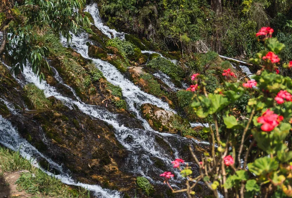 地下的水晶水流 它通过一条隧道从瓦加坡沟中流出 形成一个美丽的瀑布 周围环绕着植被和花朵 没有聚焦的花的前景 — 图库照片