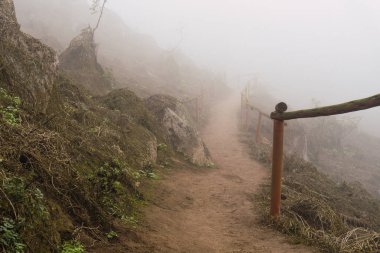 Eski ağaçlar, büyük kayalar ve yeşil bitkiler Ulusal Rezerv Lomas de Lachay 'da sisli bir günde, Lima Peru' da korunan bölgede..