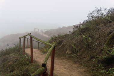 Ulusal Rezerv Lomas de Lachay 'da sisli bir günde, Lima Peru' nun korunan bölgesinde yünlü korkulukların olduğu uzun bir yol..