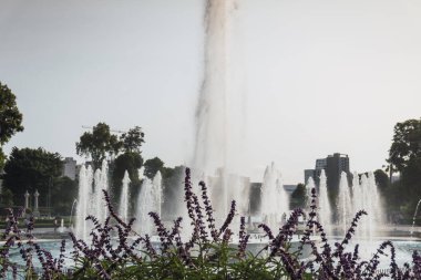 Rezerv Parkı, Lima, Peru 'daki Sihirli Su Parkı' ndaki etkileyici ve güzel çeşmeler