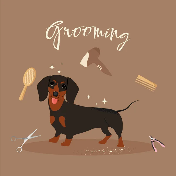 Cute Dachshund Salon Perawatan Vektor Ilustrasi Merawat Hewan Peliharaan Anda - Stok Vektor