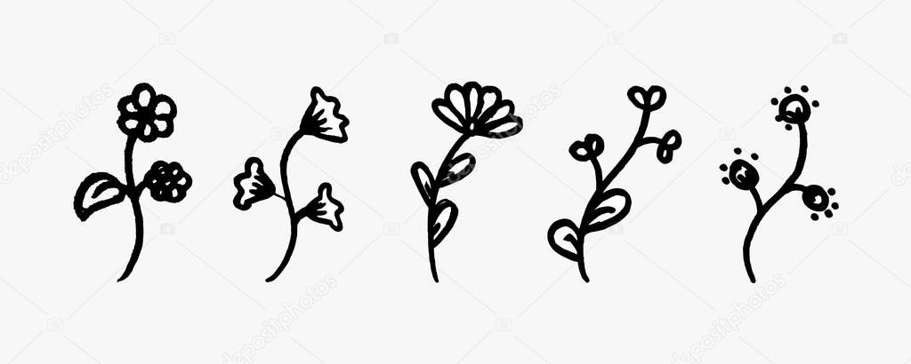 Hand drawn flower set
