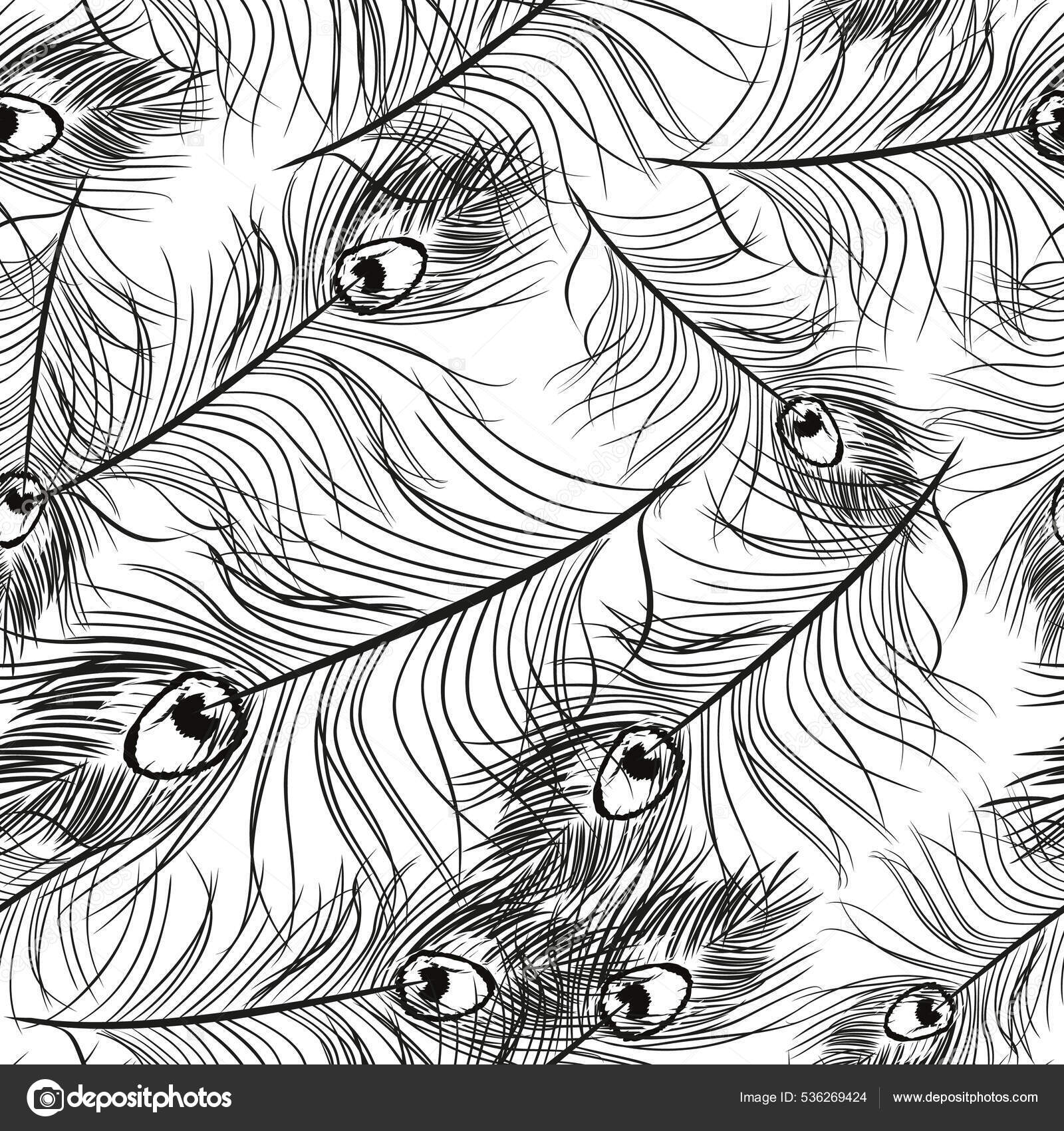 Continuous Peacock Feather Design Seamless Pattern Vector Textile Industry  Stock Vector by ©MartinTrama 536269424, image size:1600x1700