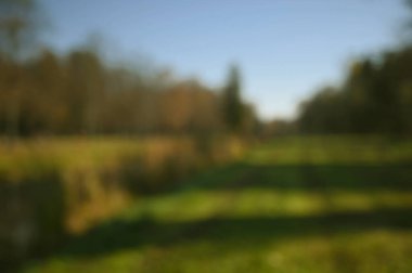 peyzaj bulanık parkı sonbahar güneşli gün arkaplanı