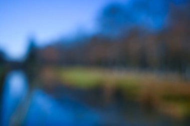 peyzaj bulanık parkı sonbahar güneşli gün arkaplanı