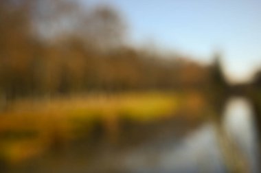 peyzaj bulanık parkı sonbahar güneşli gün arkaplanı