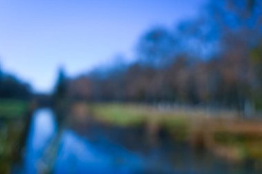 peyzaj bulanık parkı sonbahar güneşli gün arkaplanı