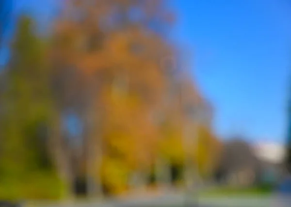 风景朦胧公园秋天晴天背景 — 图库照片