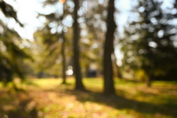 Paesaggio Sfocatura Parco Autunno Soleggiato Giorno Sfondo — Foto Stock