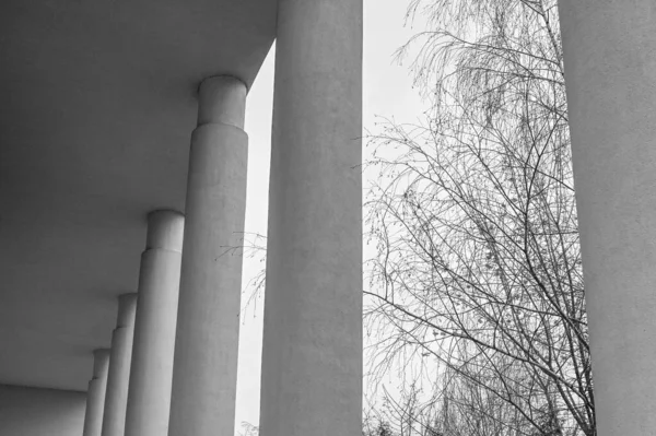 Nyilvános Modern Építészet Oszlopos Nappali Fény — Stock Fotó
