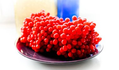 böğürtlen viburnum kış durgun hayat