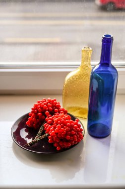 böğürtlen viburnum kış durgun hayat