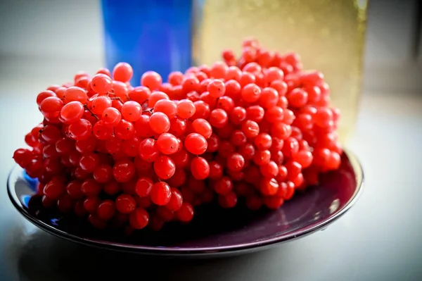 Berries Viburnum Winter Still Life — Stock Photo, Image