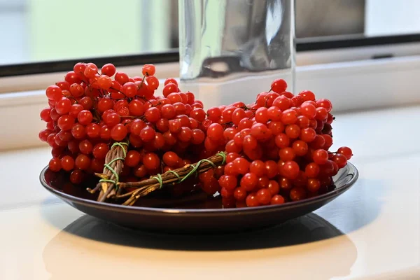 Berries Viburnum Winter Still Life — Stock Photo, Image