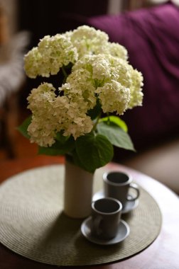 İç kısımda ortanca çiçeği buketi