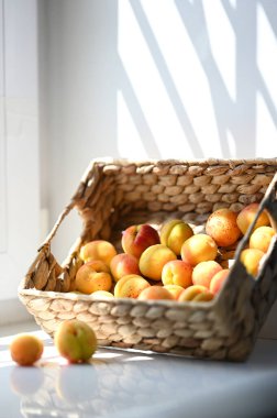 Tablo Tarih temiz olgun kayısı