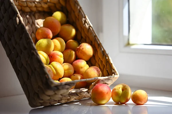 Frische Reife Aprikosen Auf Dem Tisch — Stockfoto