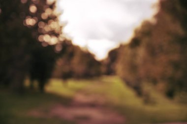 Sonbahar parkı manzarası odaklı değil