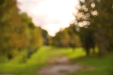 Sonbahar parkı manzarası odaklı değil