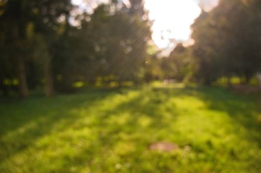 Sonbahar parkı manzarası odaklı değil