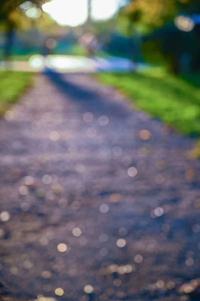 Autunno Parco Paesaggio Sfocato Sfondo — Foto Stock