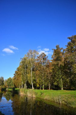 Sonbaharda, parkta, ağaçlarda, yapraklarda sonbahar yaprakları  