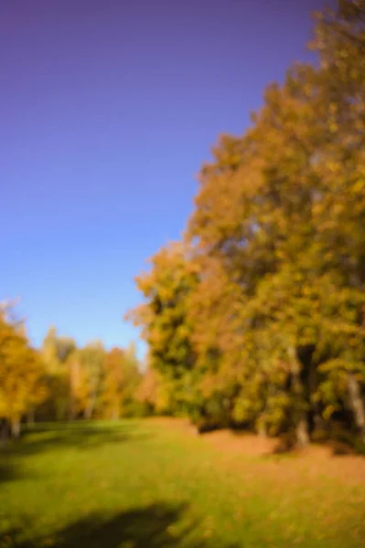 Herbst Laub Park Herbst Bäume Blätter — Stockfoto