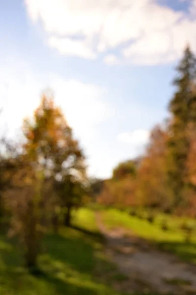 Autunno Fogliame Parco Autunno Alberi Foglie — Foto Stock