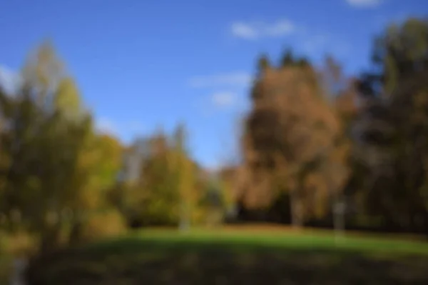 Autunno Fogliame Parco Autunno Alberi Foglie — Foto Stock