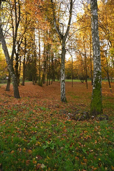 Otoño Paisaje Naturaleza Vista Panorámica —  Fotos de Stock