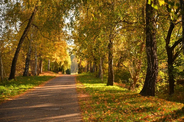 Otoño Paisaje Naturaleza Vista Panorámica —  Fotos de Stock