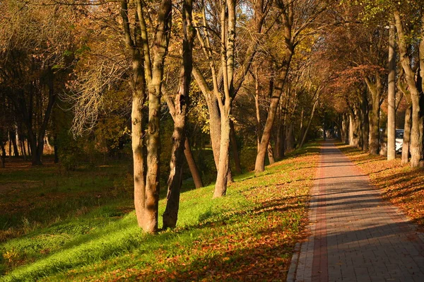 Herbst Landschaft Natur Szenische Ansicht — Stockfoto