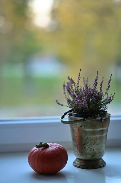 Little Pumpkin Lavender Flowers Table — Stock Photo, Image