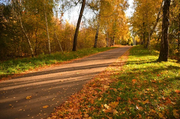 Herbst Landschaft Natur Szenische Ansicht — Stockfoto