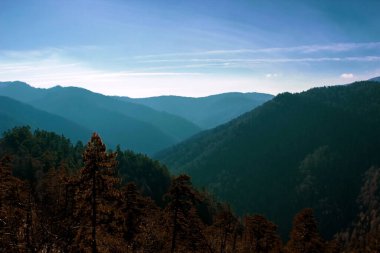 Scenery panoramic view of autumnal mountain forests. Beauty of nature. Valleys and mountains in the clear sky. Aerial view of the mountains. Sunlight illuminating the mountains. Colorful nature view.