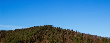 Scenery panoramic view of autumnal mountain forests. Beauty of nature. Valleys and mountains in the clear sky. Aerial view of the mountains. Sunlight illuminating the mountains. Colorful nature view.