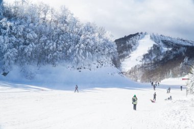 İnsanlar kayak pistinde snowboard yapıyor. Kayak merkezinde kayak yapan ve serbest sörf yapan insanlar. Kış sporları eğlence aktiviteleri. Ekstrem spor konsepti. Kar aktiviteleri konsepti.