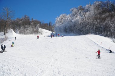İnsanlar kayak pistinde snowboard yapıyor. Kayak merkezinde kayak yapan ve serbest sörf yapan insanlar. Kış sporları eğlence aktiviteleri. Ekstrem spor konsepti. Kar aktiviteleri konsepti.