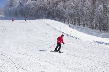 Adam yokuş aşağı kayıyor. Orta yaşlı bir adam kayak yaparken poz veriyor. Kış sporları. Kış sporları konsepti. Serbest stil ekstrem kayak sporları. Dağda kış tatili.